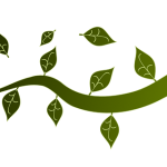 branch-152113_640