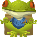frog-576528_640