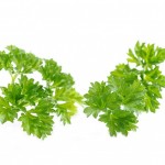 parsley-164493_640