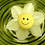 blossom-233838_1280