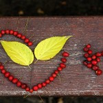 heart-1205694_1280
